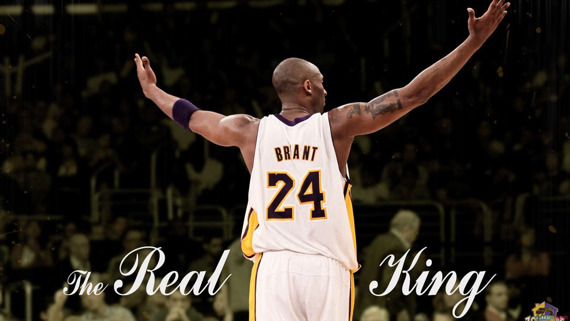 狂欢之夜，场上豪门争雄场下球迷热情高涨，狂欢节之夜