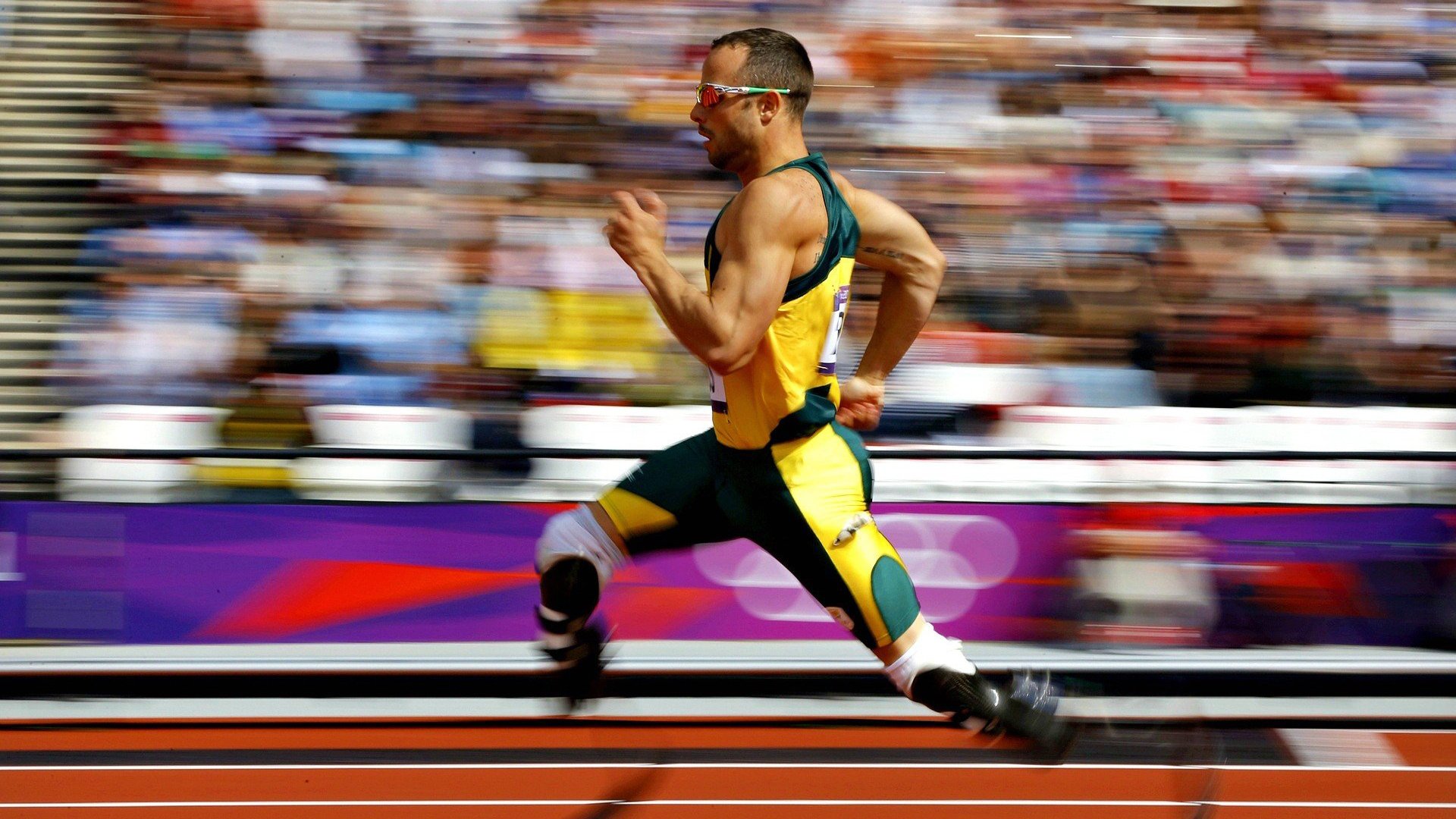 葡萄牙骑手玛丽亚·卡埃塔诺在2024年葡萄牙盛装舞步锦标赛中以“Hit Plus”马匹获得个人赛第五名，展现坚韧精神。